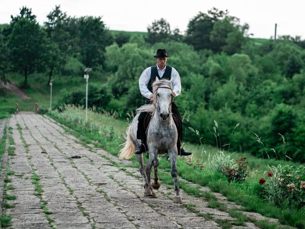 Ore de echitație pentru copii şi adulț Satu Mare