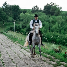 Ore de echitație pentru copii şi adulț Satu Mare