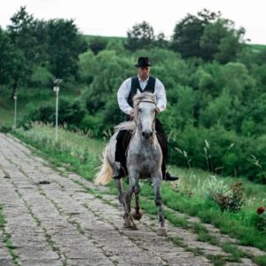 Ore de echitație pentru copii şi adulț Satu Mare