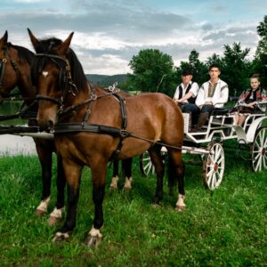 Ore de echitație pentru copii şi adulț