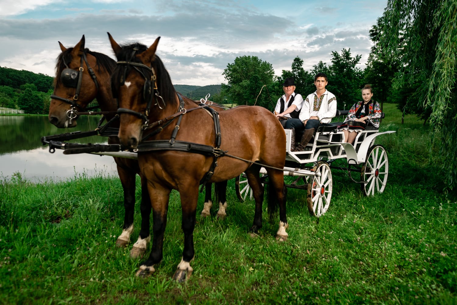 Ore de echitație pentru copii şi adulț